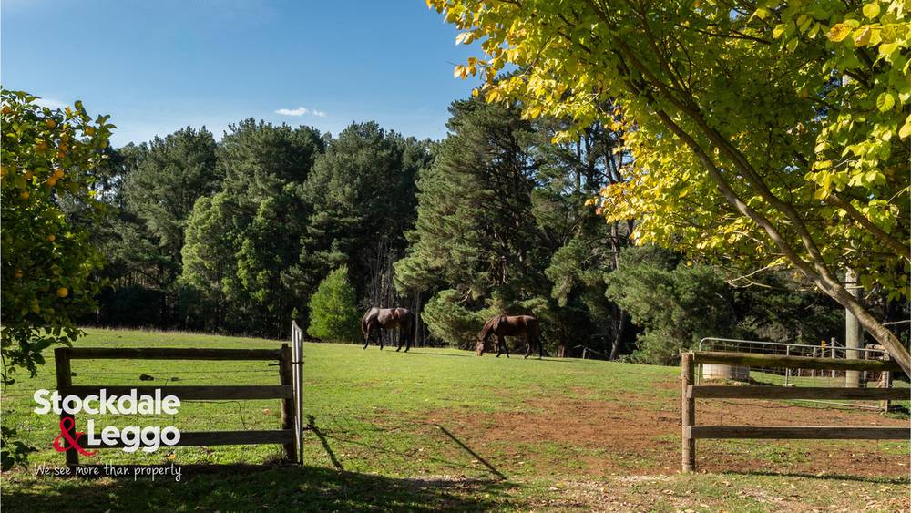 1568 Grand Ridge Road, Mirboo, VIC 3871