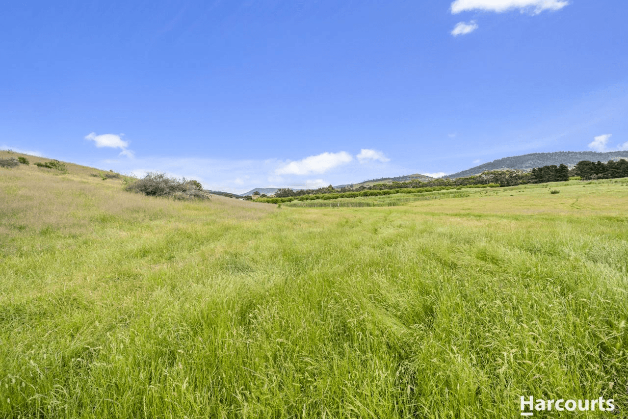 Lot 3, 73 Prossers Road, Richmond, TAS 7025