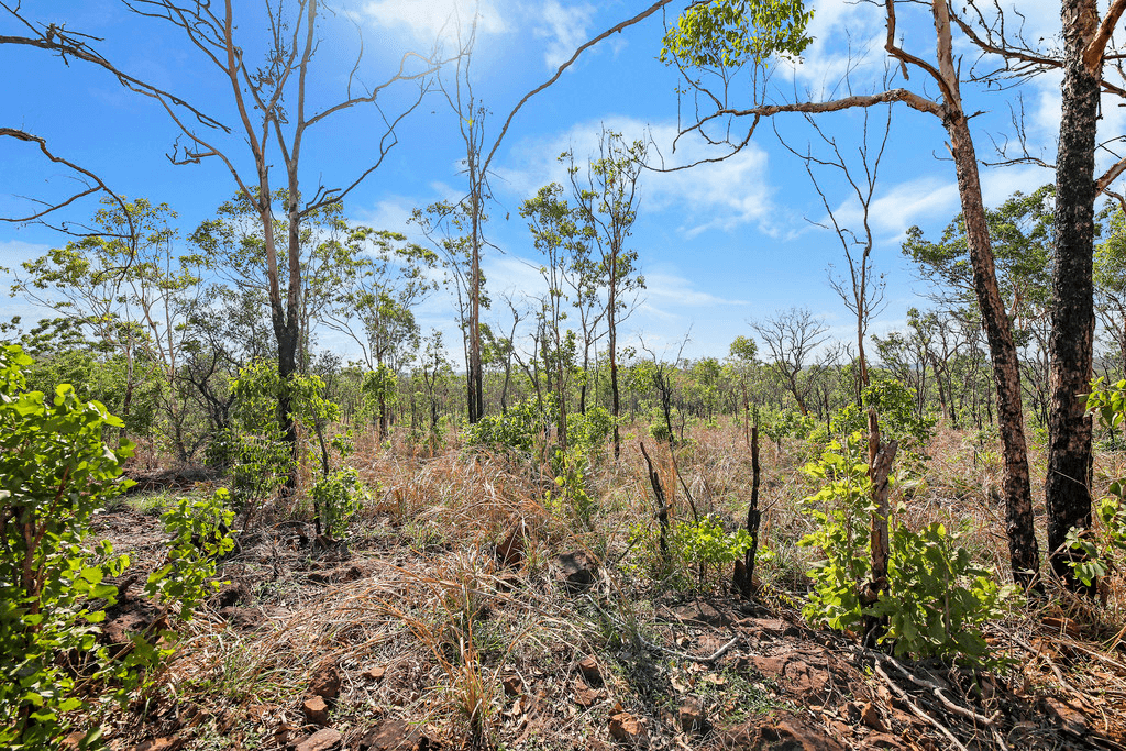 401 Owen Lagoon Road, LAKE BENNETT, NT 0822