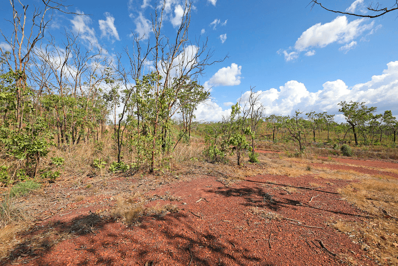 401 Owen Lagoon Road, LAKE BENNETT, NT 0822