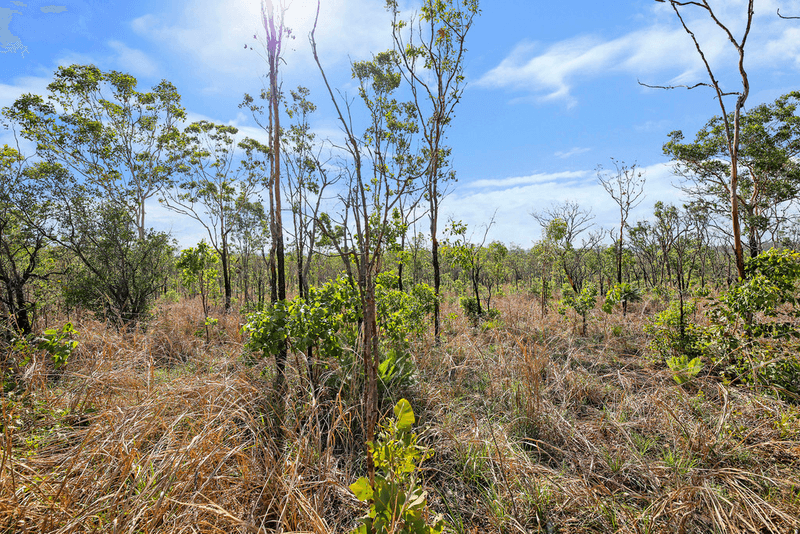 401 Owen Lagoon Road, LAKE BENNETT, NT 0822