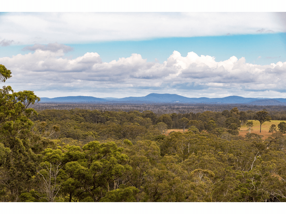 8 The Bridle Path, TALLWOODS VILLAGE, NSW 2430