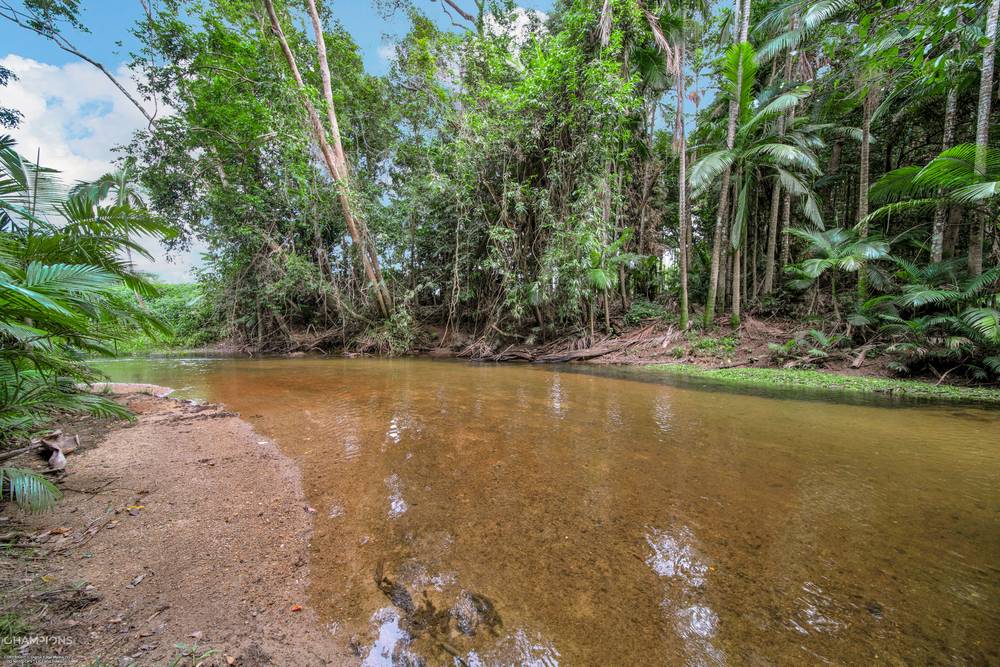 472 Miallo Bamboo Creek Road, BAMBOO, QLD 4873