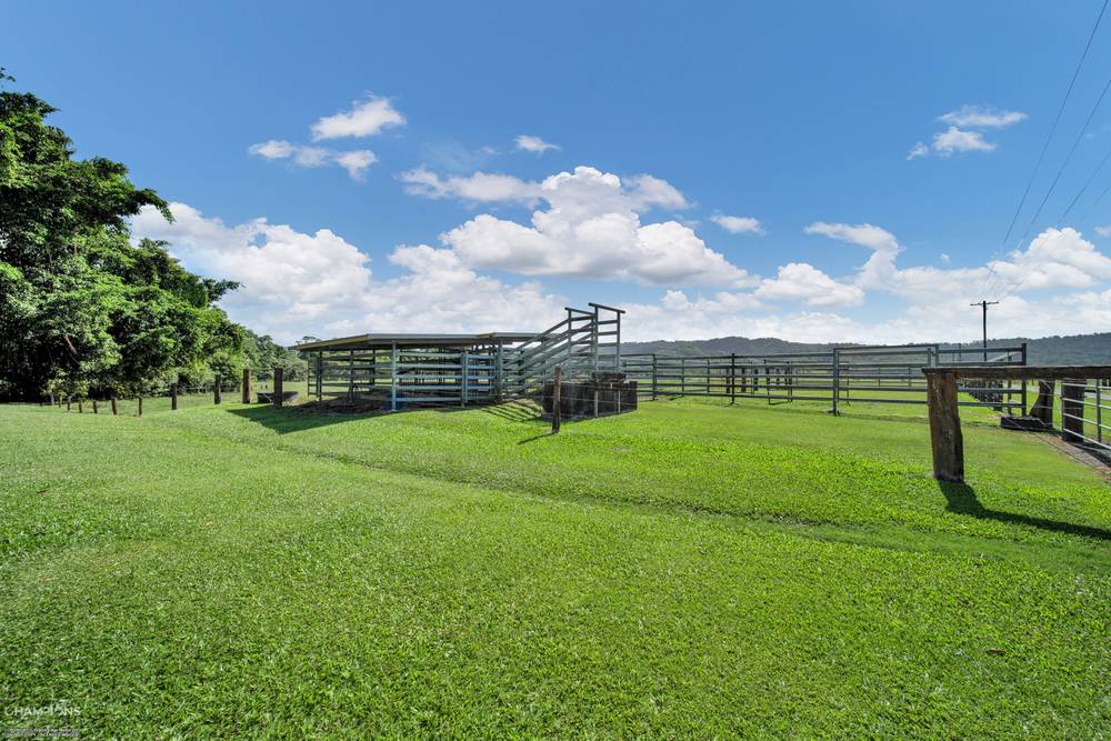 472 Miallo Bamboo Creek Road, BAMBOO, QLD 4873