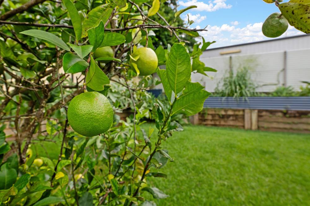 12 Gloria Close, GLASS HOUSE MOUNTAINS, QLD 4518