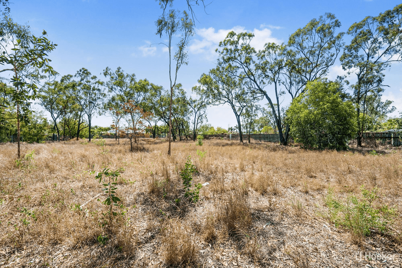 96 Mount Low Parkway, MOUNT LOW, QLD 4818