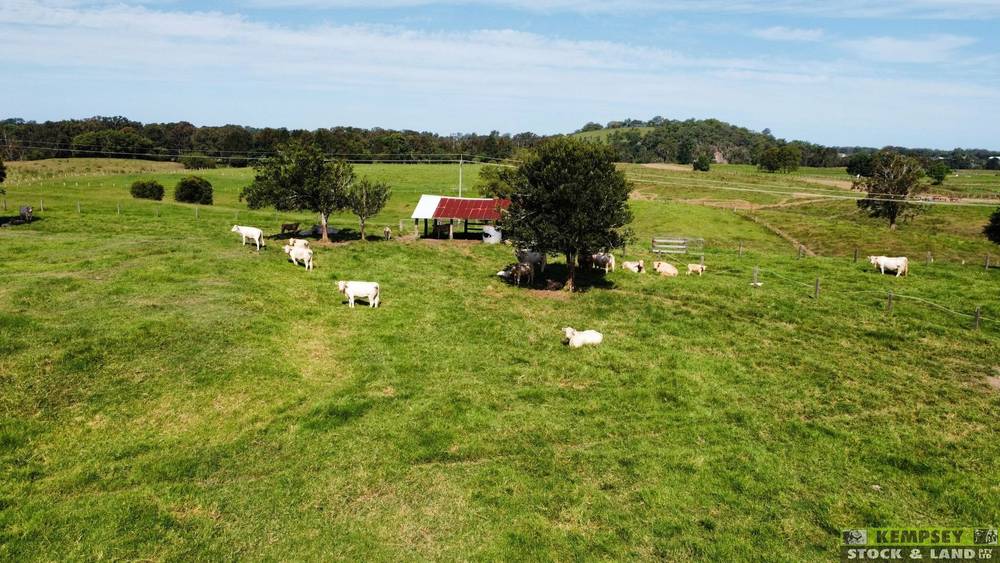 1 Nelsons Wharf Road, Aldavilla, NSW 2440