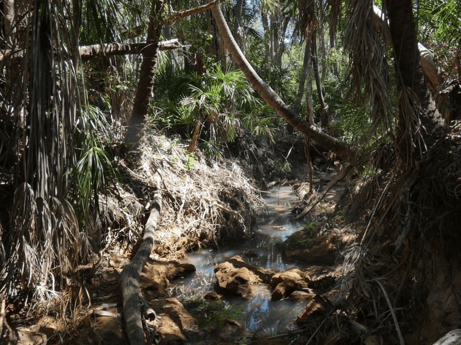 Lot 16  MacKellor Road, Lowmead, QLD 4676