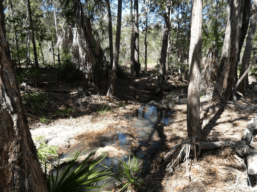 Lot 16  MacKellor Road, Lowmead, QLD 4676