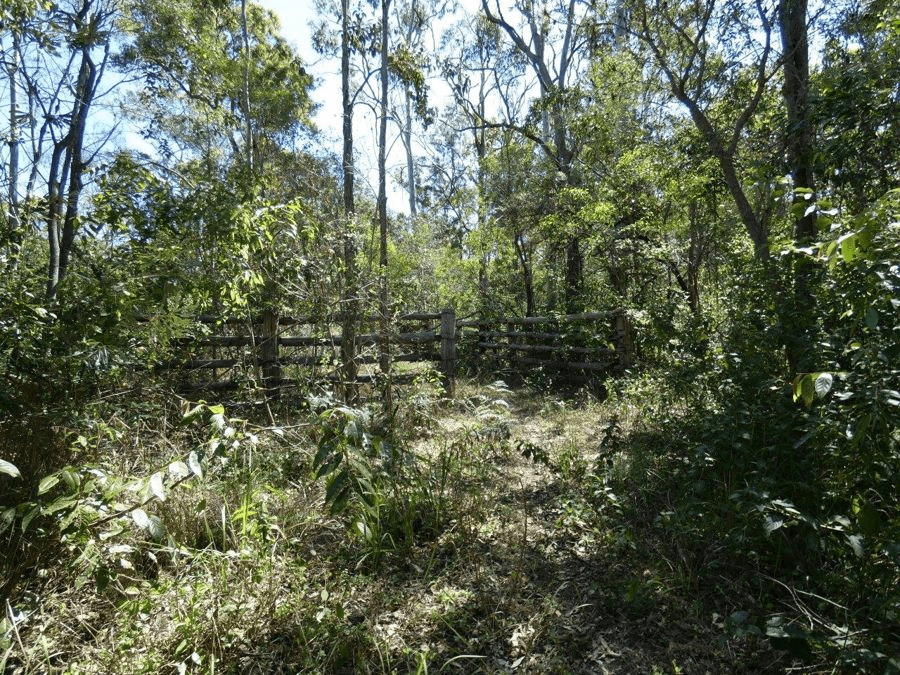 Lot 16  MacKellor Road, Lowmead, QLD 4676