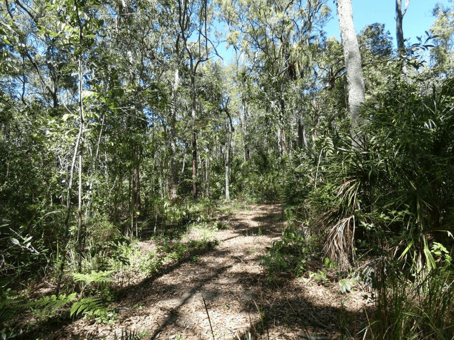 Lot 16  MacKellor Road, Lowmead, QLD 4676