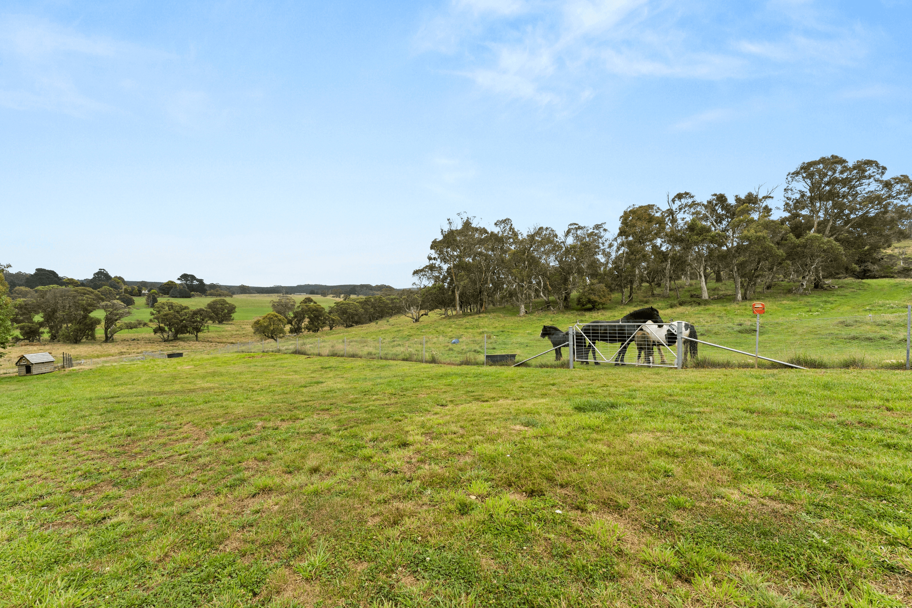 310 Springmount Road Chatham Valley, OBERON, New South Wales 2787