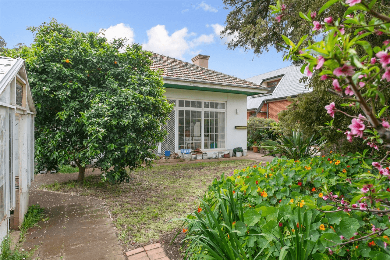 81 Kyeema Avenue, Cumberland Park, SA 5041