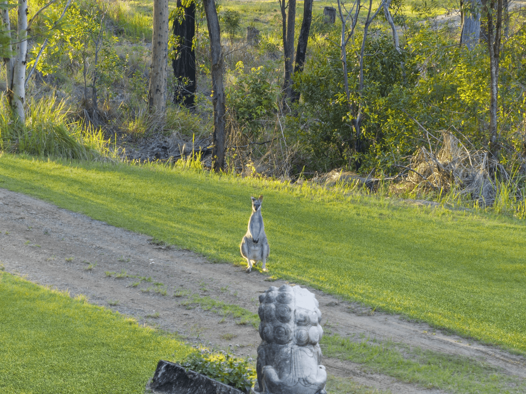 621 Lamington National Park Road, CANUNGRA, QLD 4275