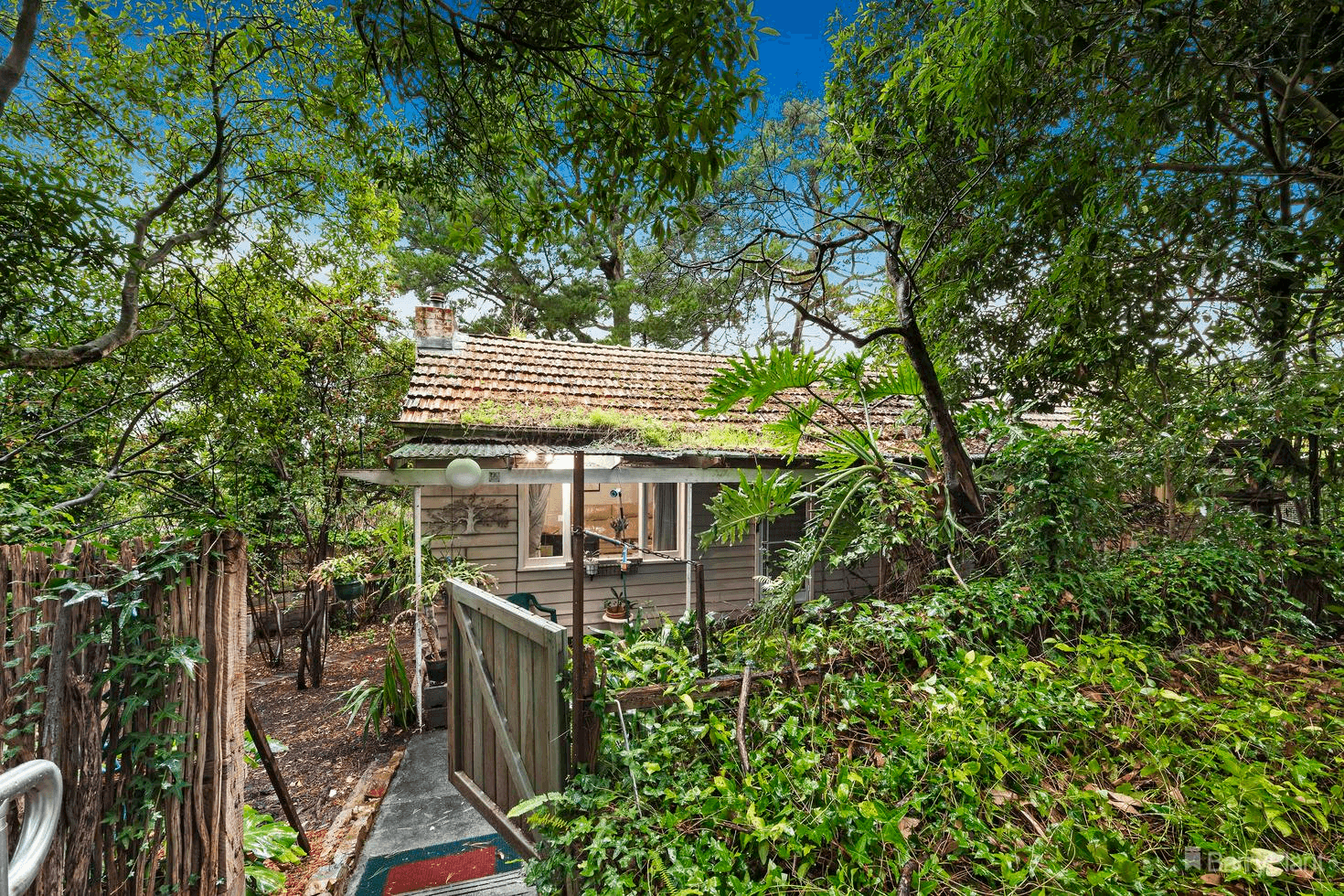 12 Panorama Avenue, RINGWOOD NORTH, VIC 3134