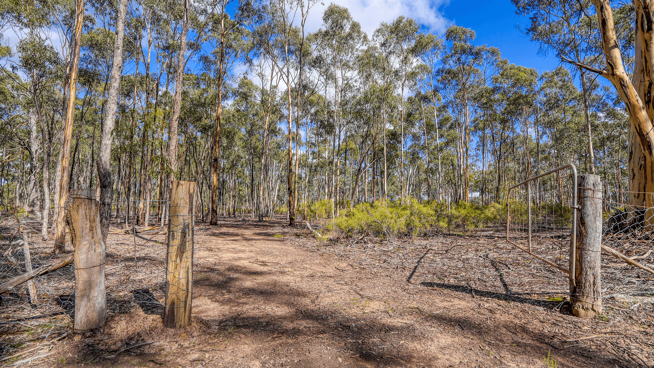 Lot 1 Buffalo Swamp Road, WHROO, VIC 3612