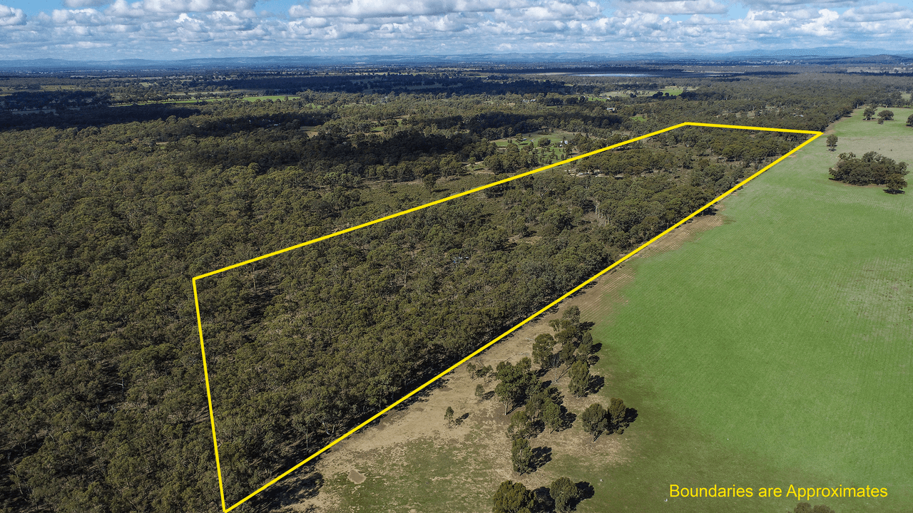 Lot 1 Buffalo Swamp Road, WHROO, VIC 3612