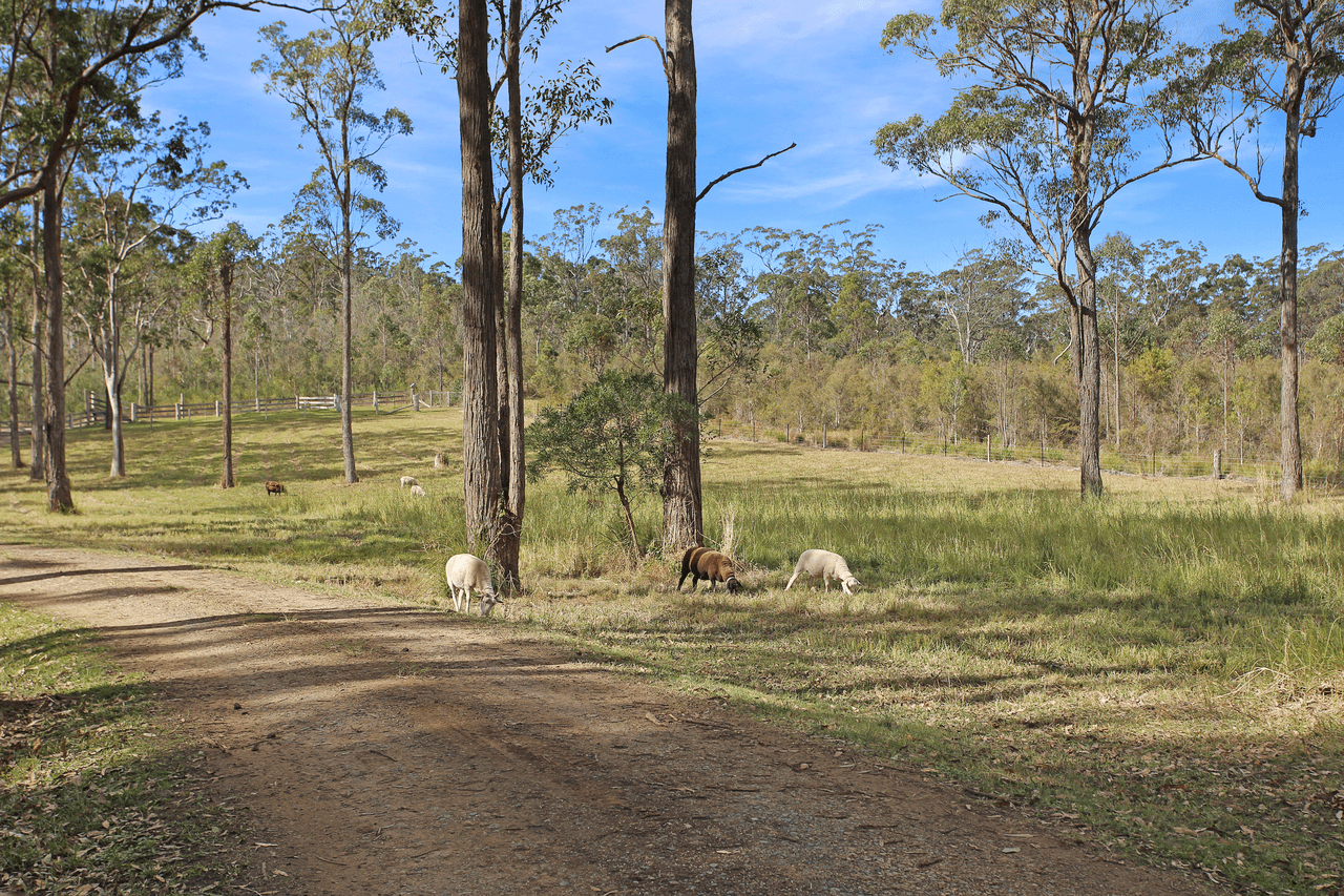 697 Markwell Back Road, MARKWELL, NSW 2423