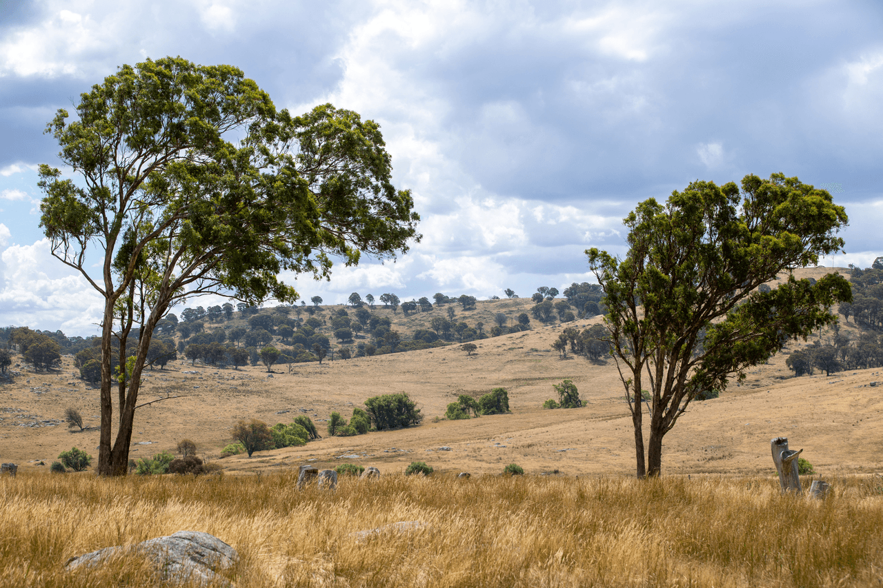 1621 Baldersleigh Road, BALDERSLEIGH, NSW 2365