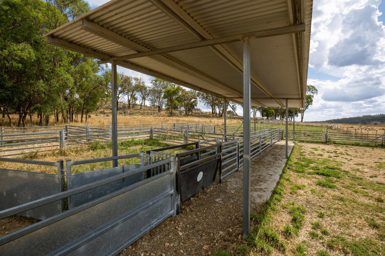 1621 Baldersleigh Road, BALDERSLEIGH, NSW 2365