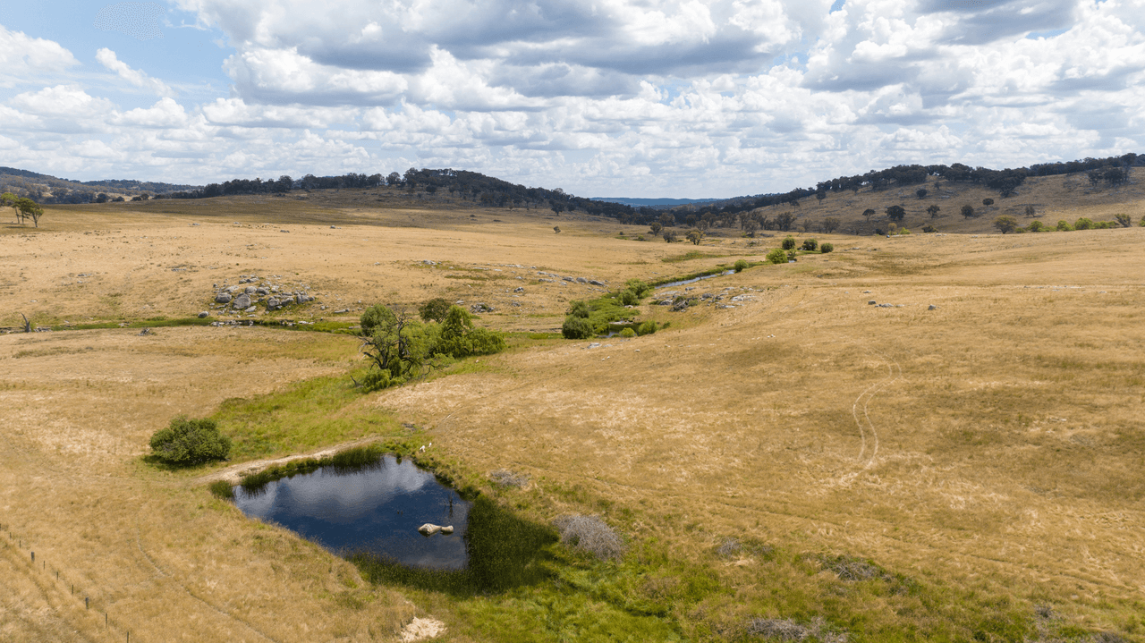 1621 Baldersleigh Road, BALDERSLEIGH, NSW 2365