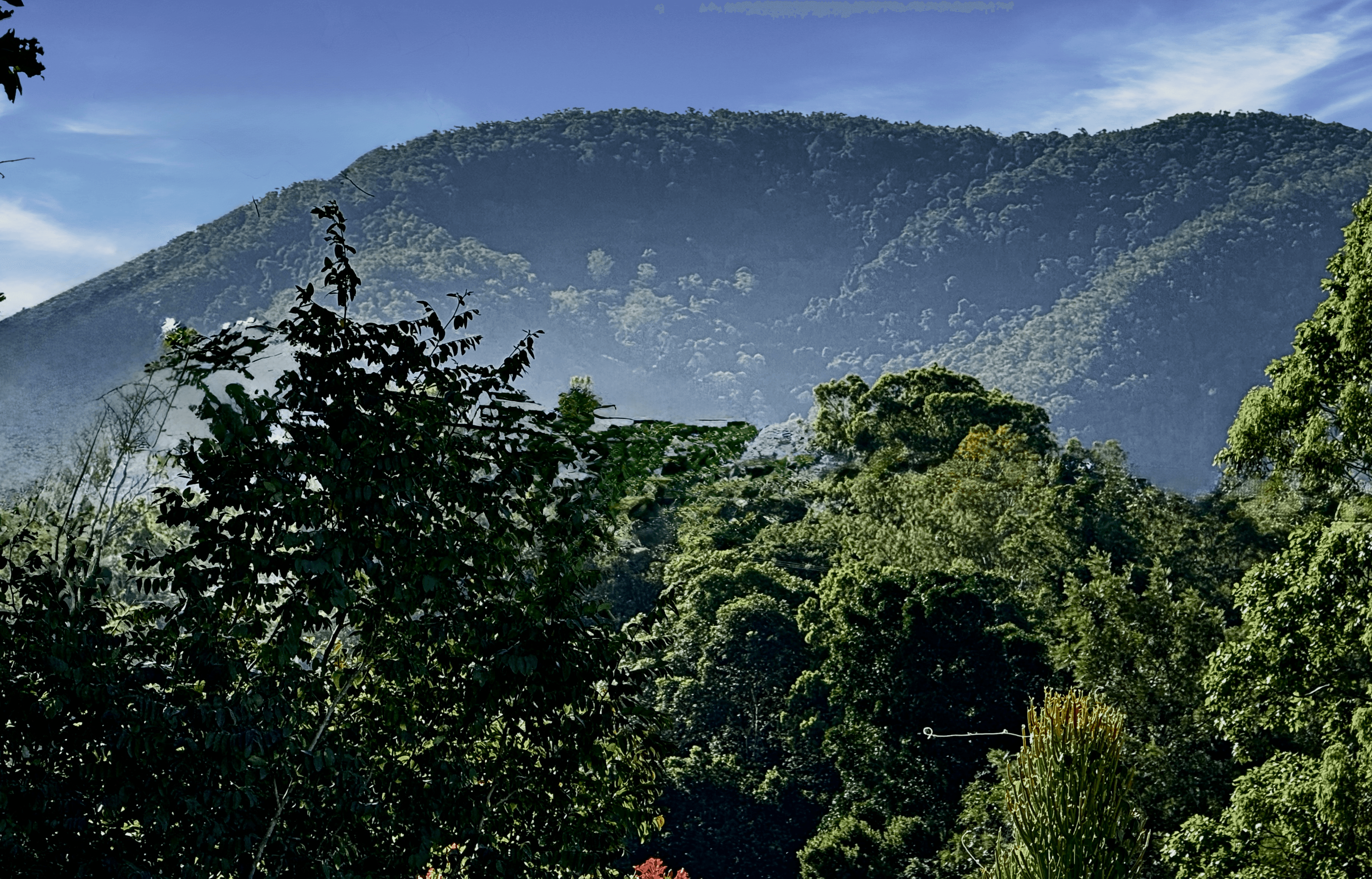 1 Cumberland Road, WIGHTS MOUNTAIN, QLD 4520