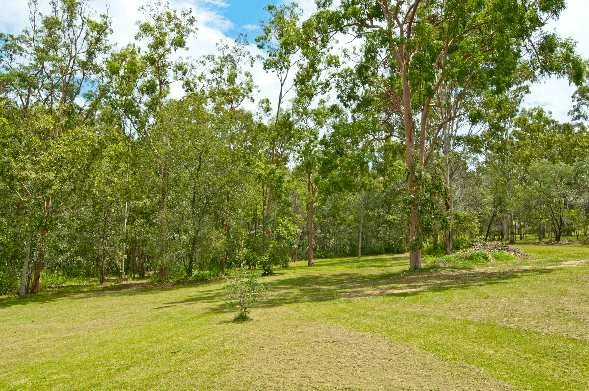 66-76 Clifton Drive, NORTH MACLEAN, QLD 4280