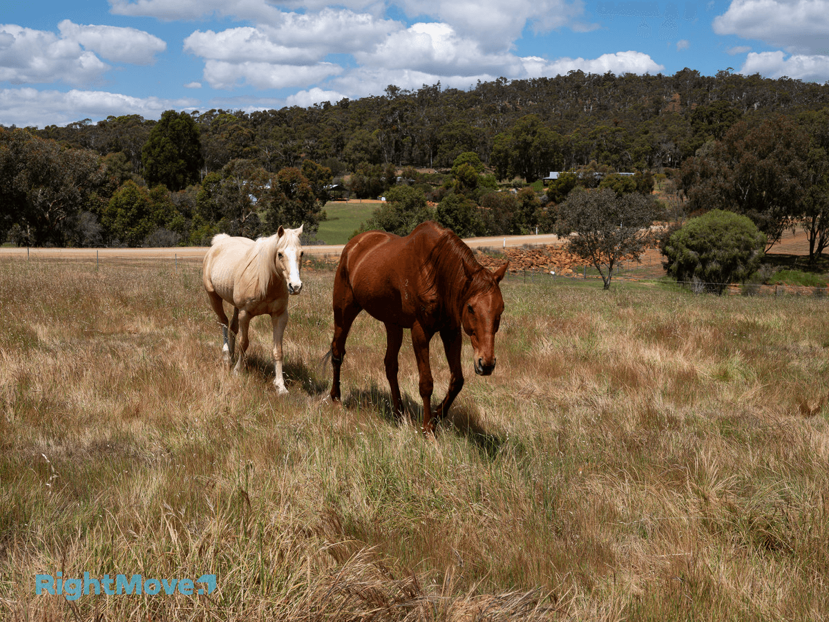 Lot 8 Sims Road, Bakers Hill, WA 6562