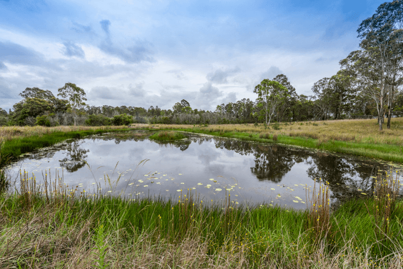 319 Airport Road, GLENUGIE, NSW 2460