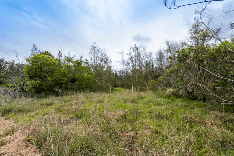 319 Airport Road, GLENUGIE, NSW 2460