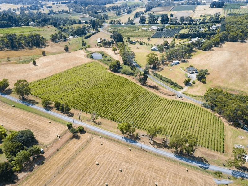 295 Beenak Road, Seville, VIC 3139