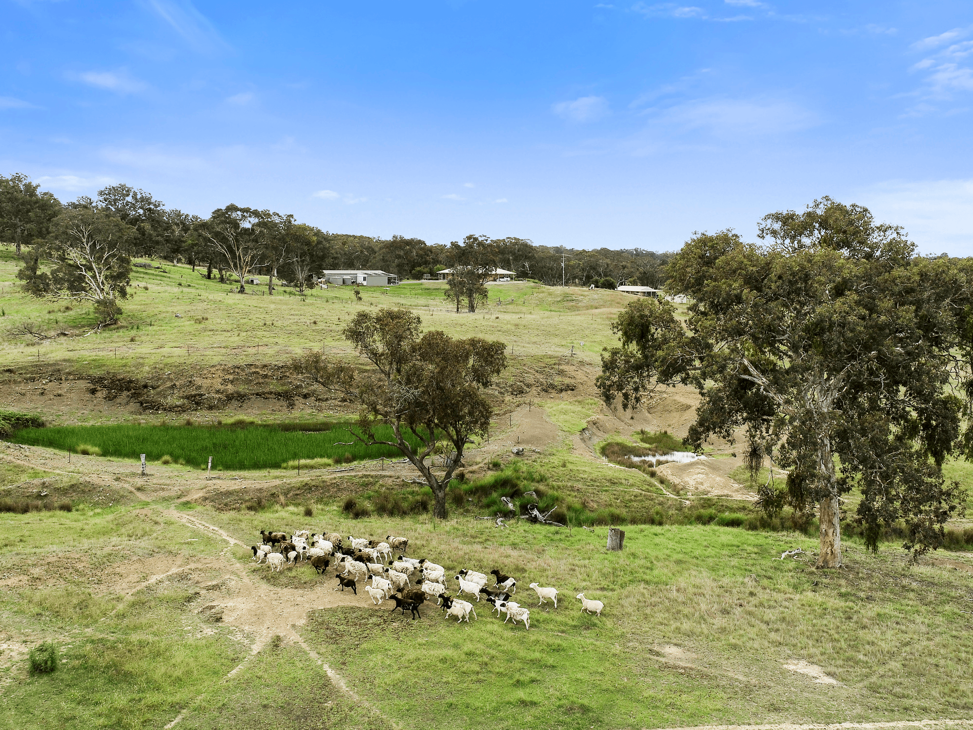 362 Walls Junction Road, YASS, NSW 2582