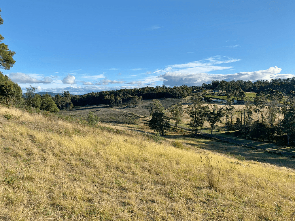 105 Hjorts Road, LOIRA, TAS 7275