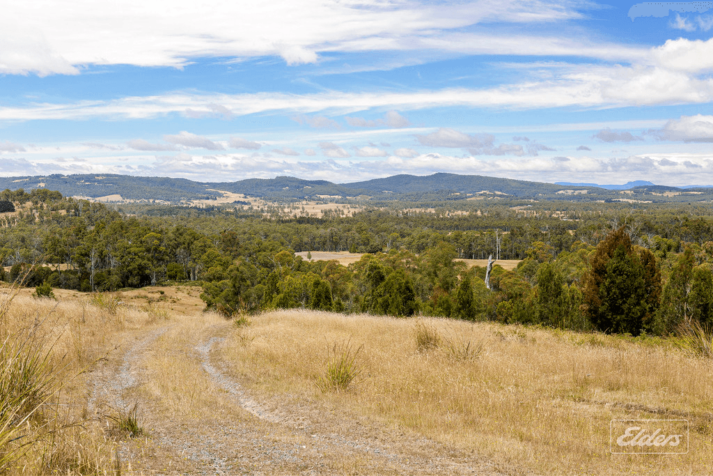 105 Hjorts Road, LOIRA, TAS 7275