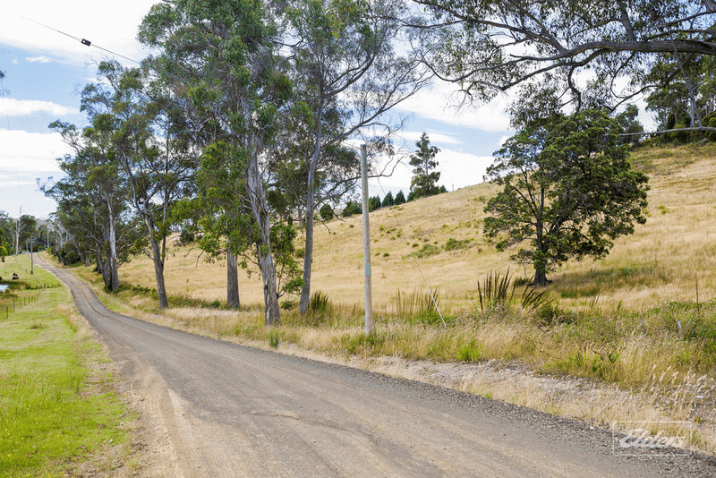 105 Hjorts Road, LOIRA, TAS 7275