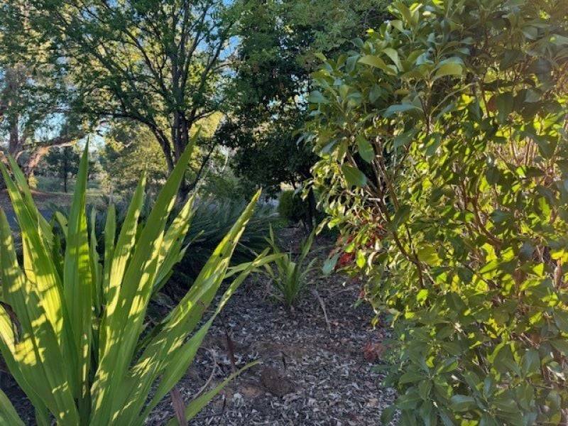 93 Margaret Crescent, Dubbo, NSW 2830