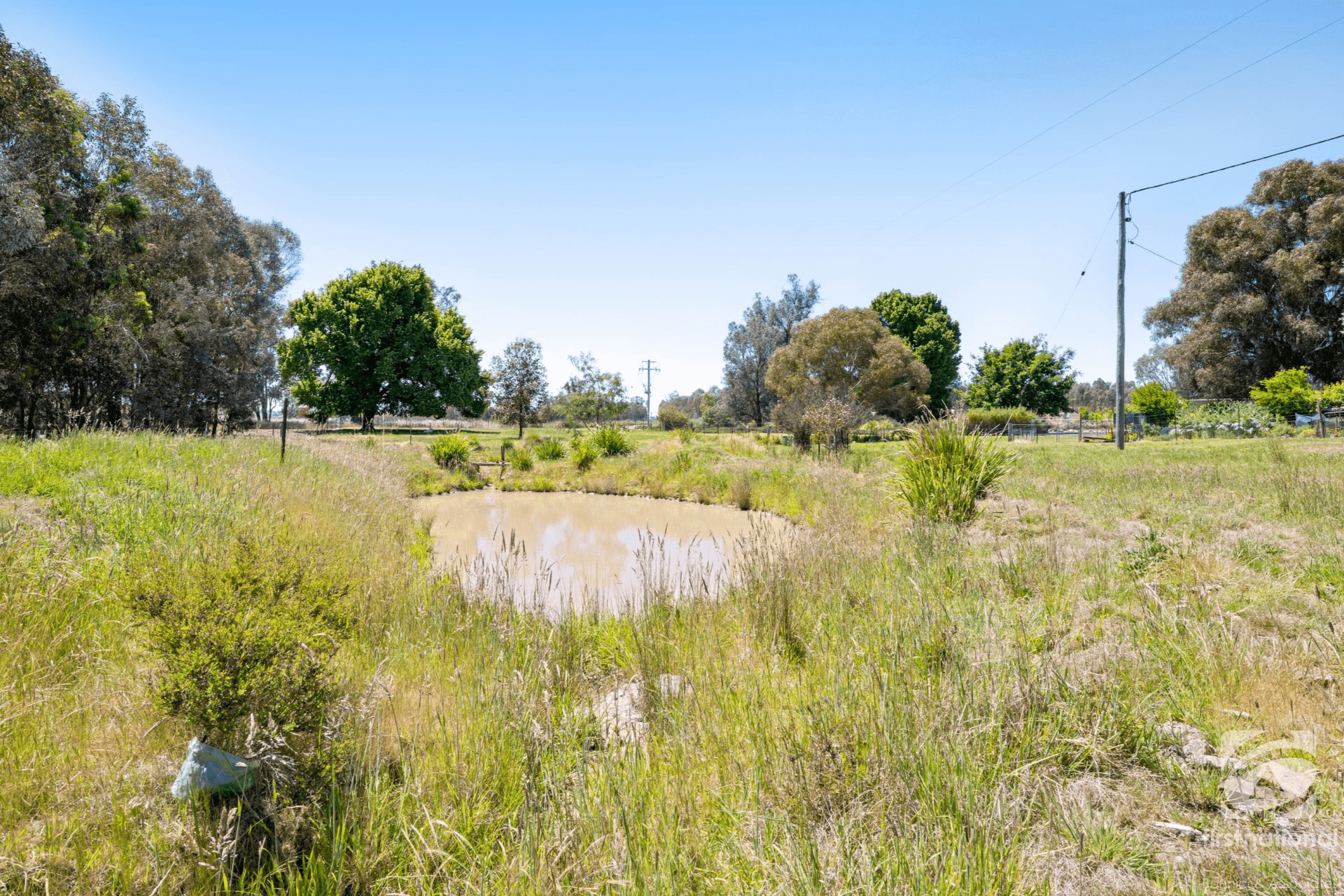 19 Shea Road, Mullengandra, NSW 2644