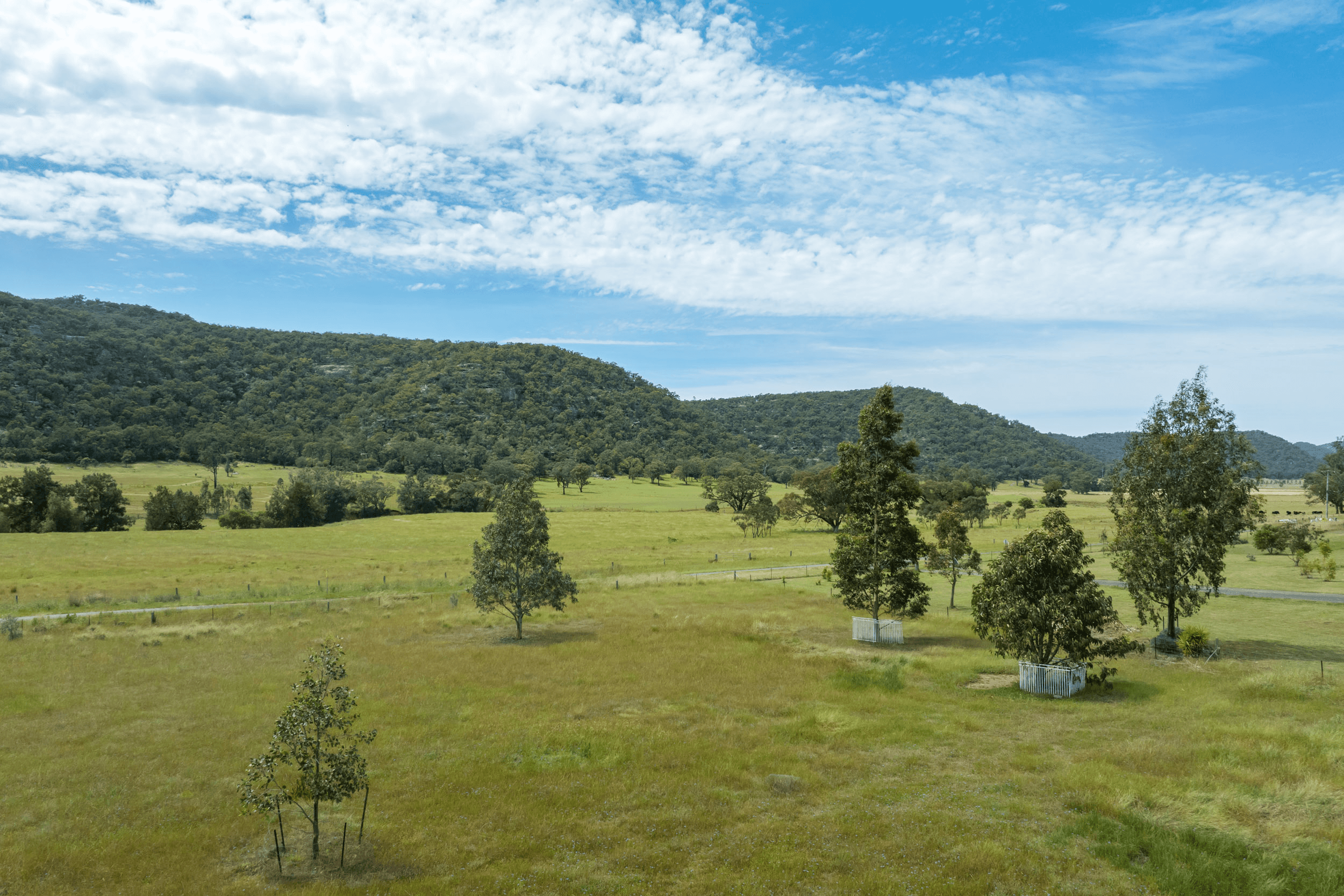 713 Giants Creek Road, GIANTS CREEK, NSW 2328