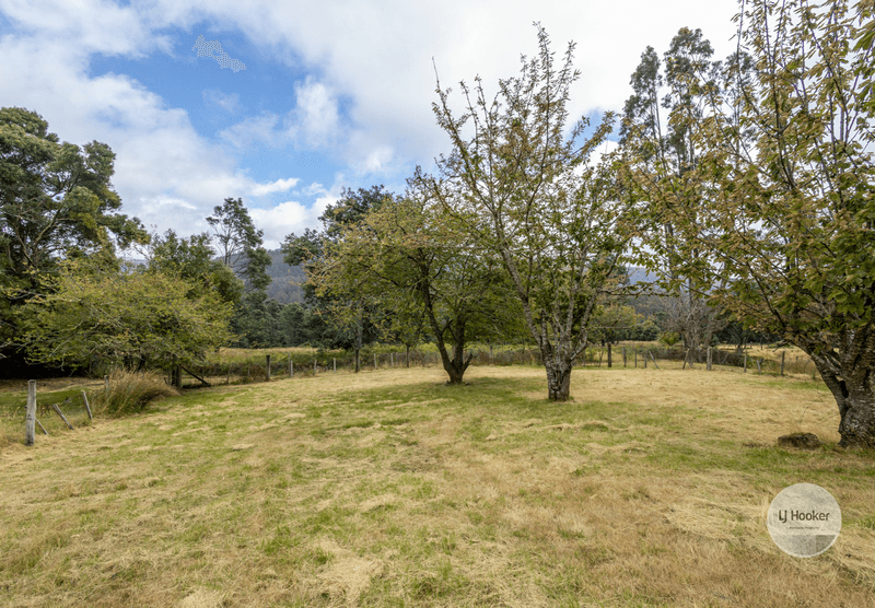 3326 Gordon River Road, FITZGERALD, TAS 7140