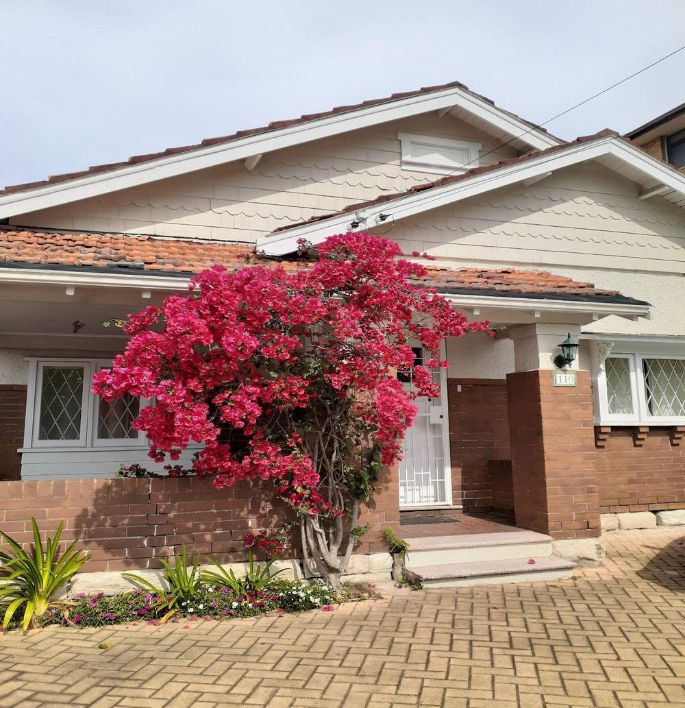 110 Homer Street, EARLWOOD, NSW 2206