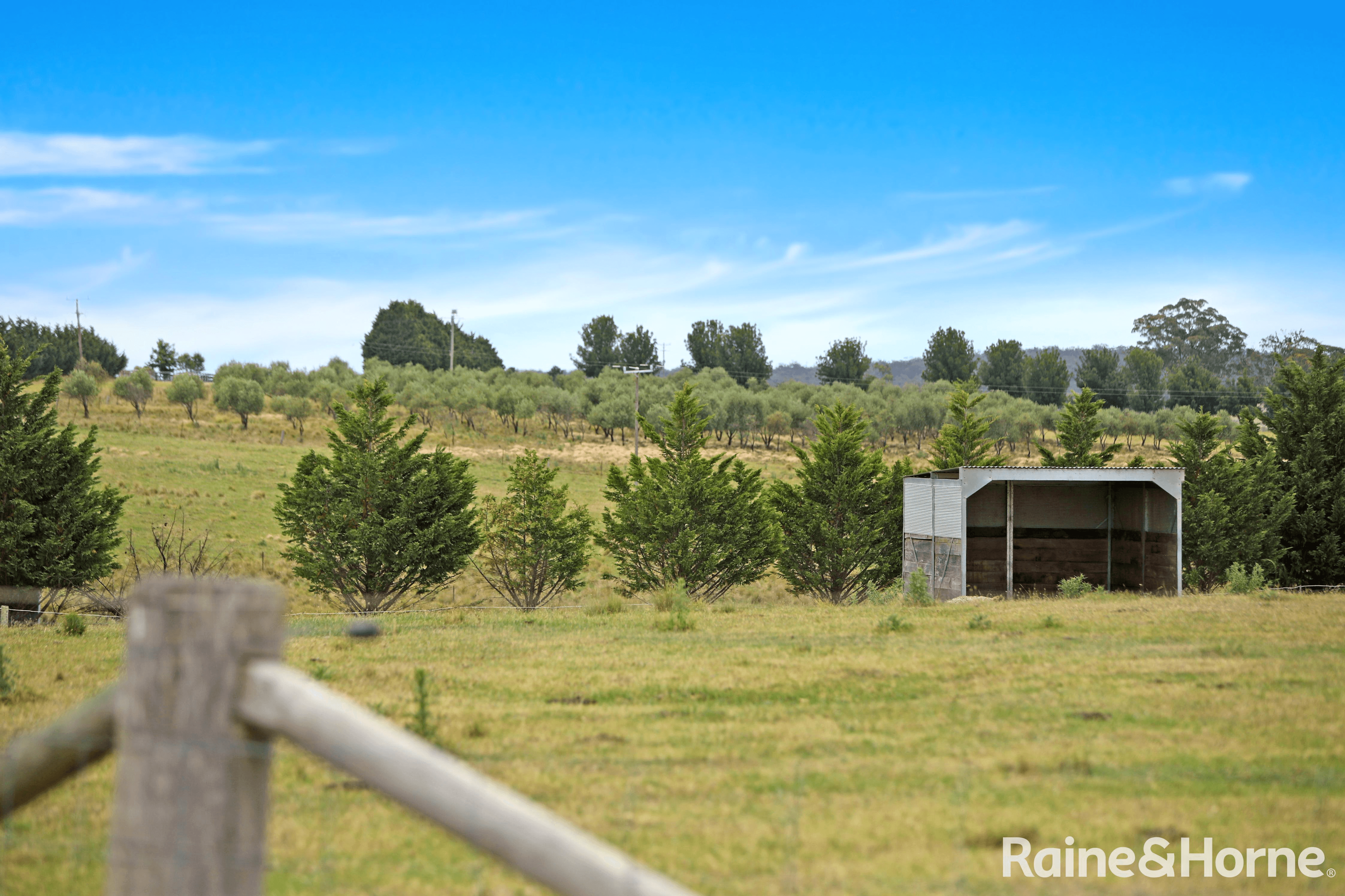 1469 Caoura Road, TALLONG, NSW 2579