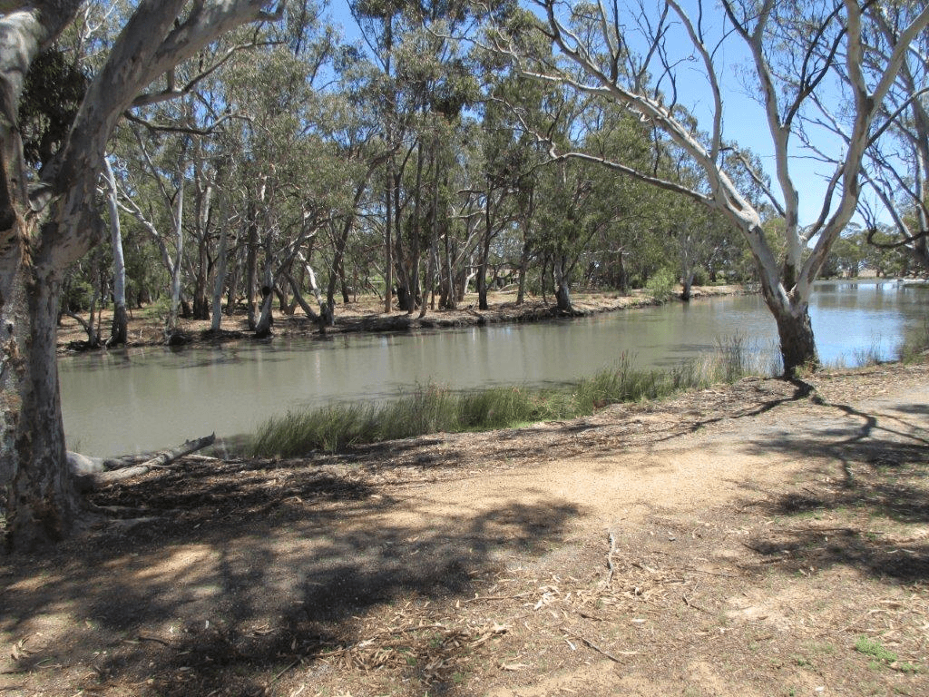 13A RAINBOW ROAD, WARRACKNABEAL, VIC 3393