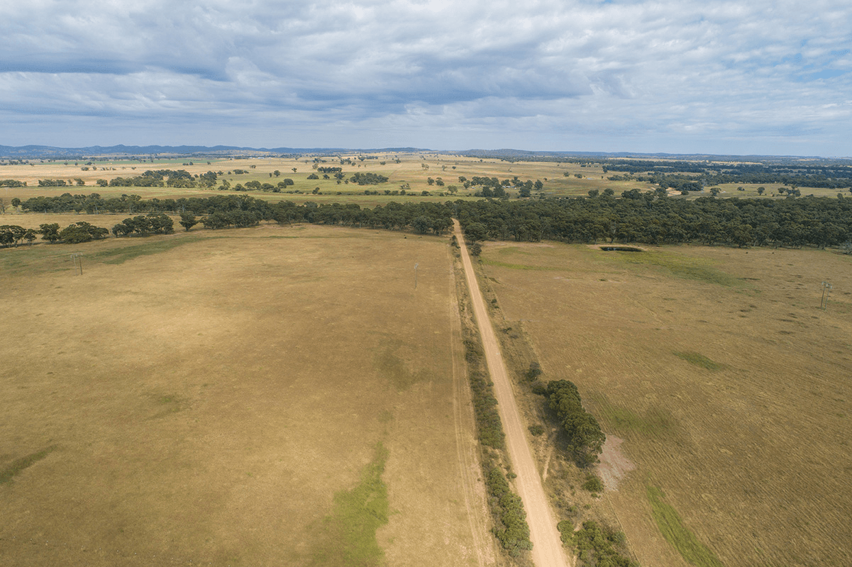 96 Stubbo Road, GULGONG, NSW 2852