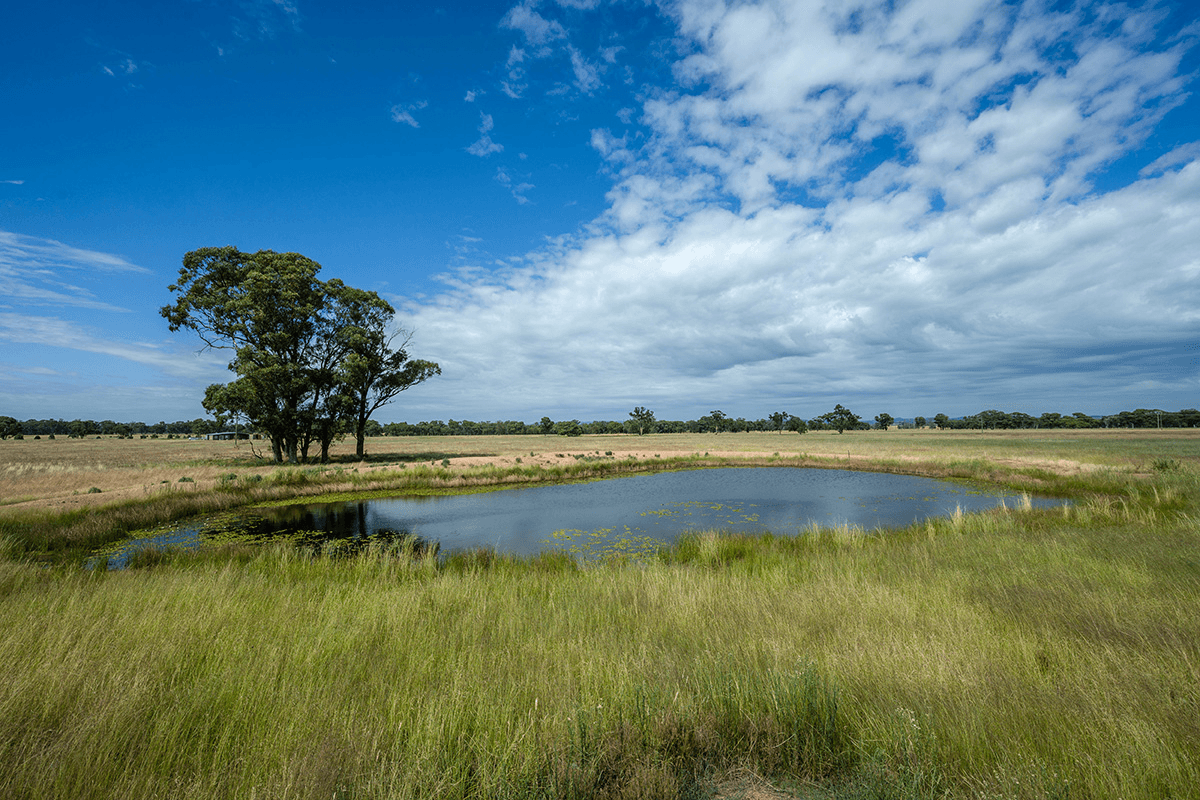 96 Stubbo Road, GULGONG, NSW 2852