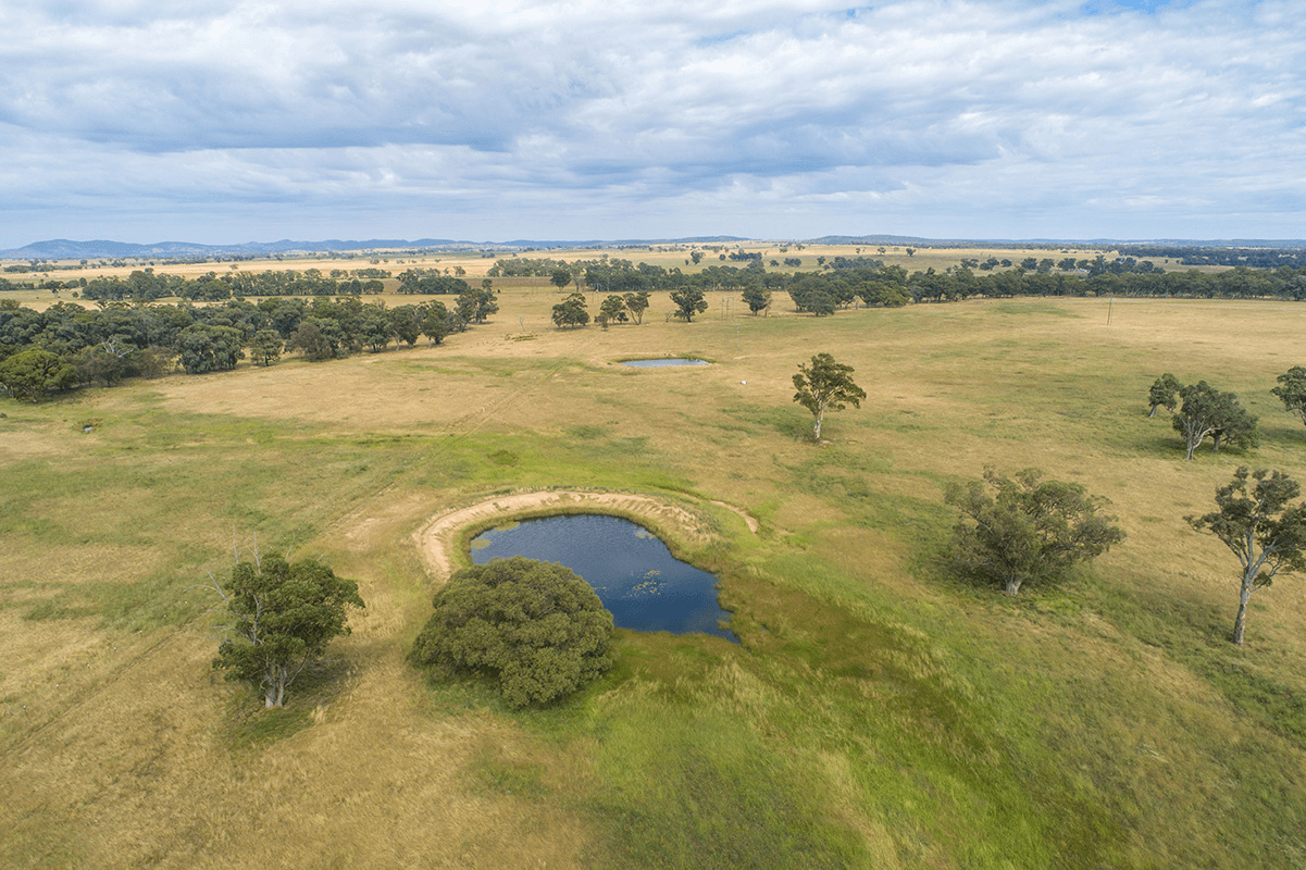 96 Stubbo Road, GULGONG, NSW 2852