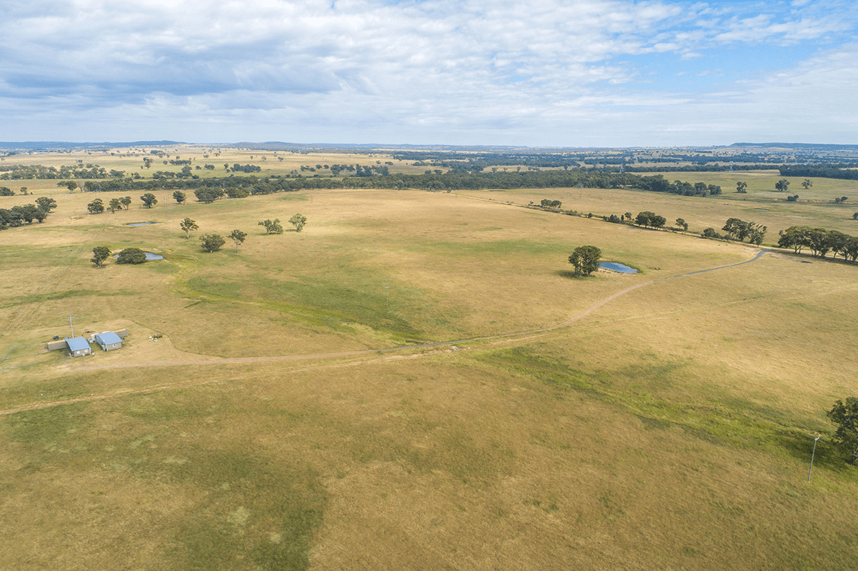 96 Stubbo Road, GULGONG, NSW 2852