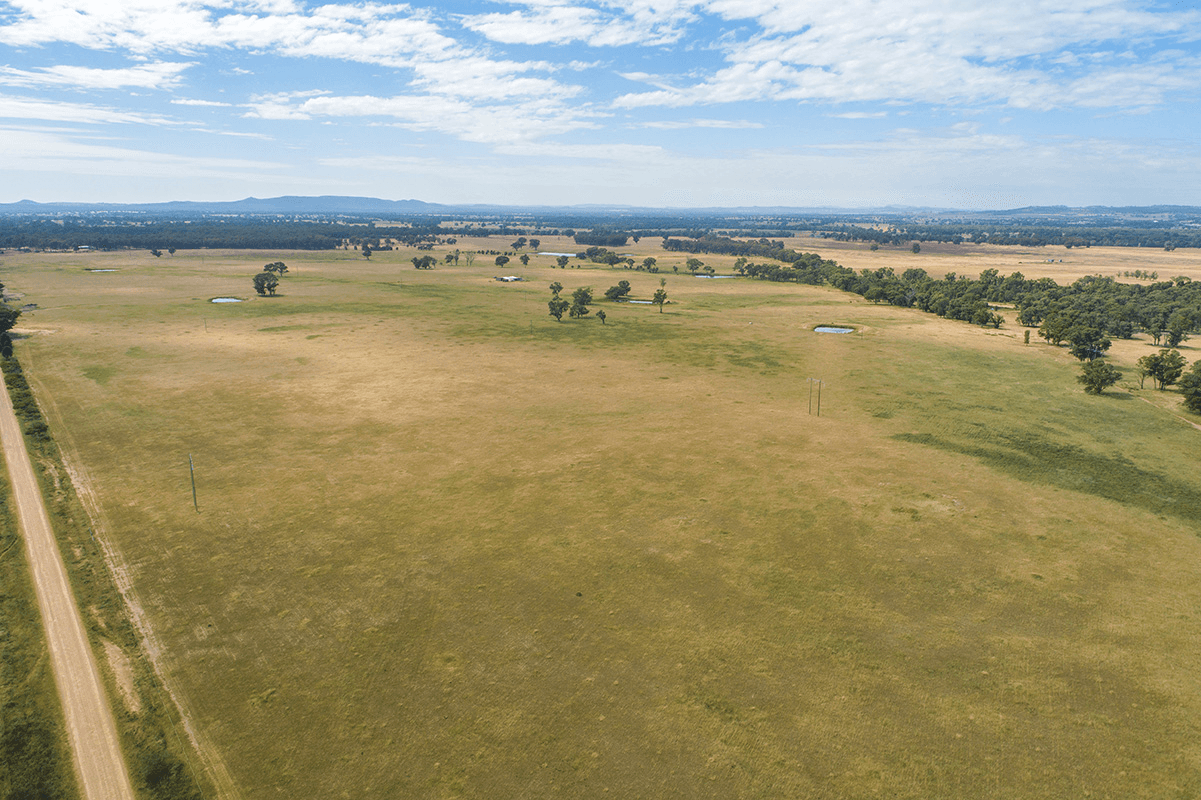 96 Stubbo Road, GULGONG, NSW 2852