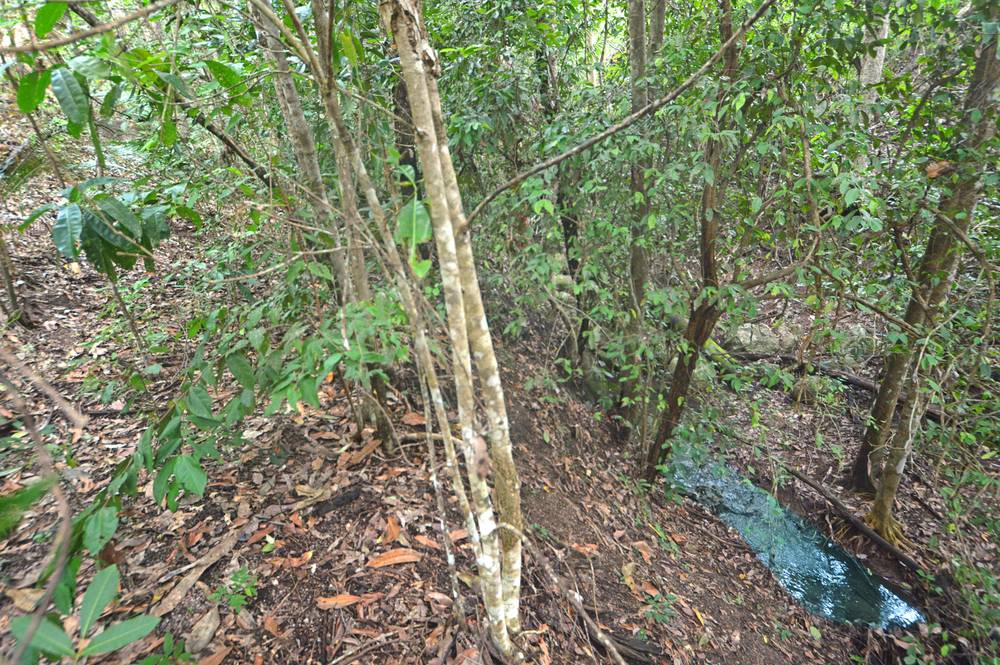 71 OLD CARDWELL RD, BILYANA, QLD 4854