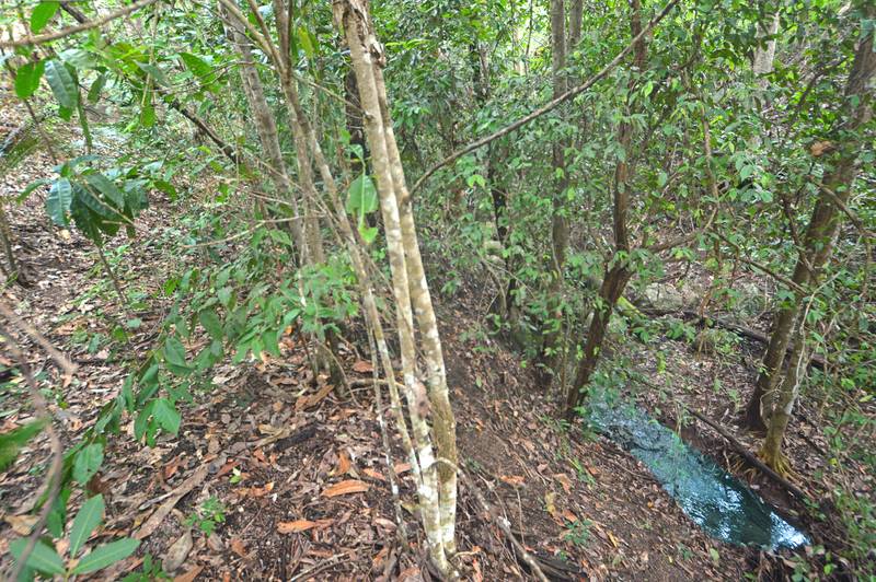 71 OLD CARDWELL RD, BILYANA, QLD 4854