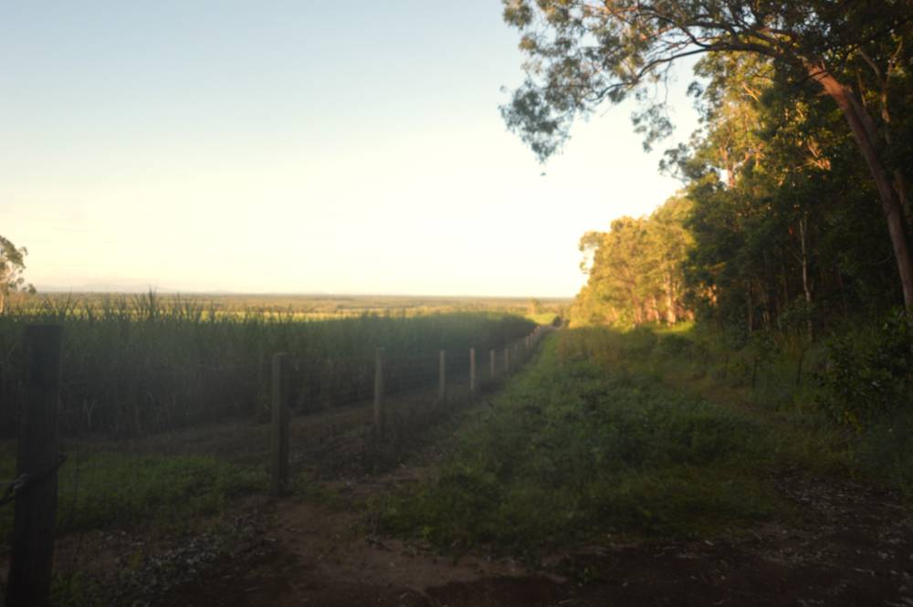 71 OLD CARDWELL RD, BILYANA, QLD 4854